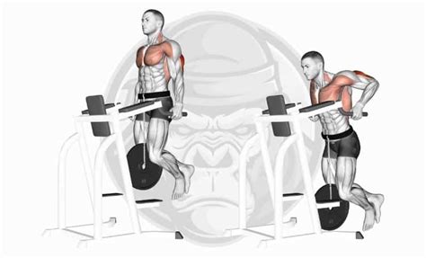 The 10 Best Long Head Tricep Exercises 2023 Jacked Gorilla