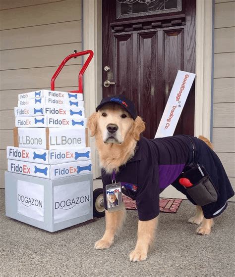 We will subsidize the quoted canada post and fedex rates by 7.5% of your total shopping cart value. Clever Ideas for Dog Halloween Costumes - Fidose of Reality