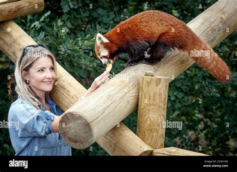 Countryfile Presenter Helen Skelton Feeds A Red Panda During A Visit To