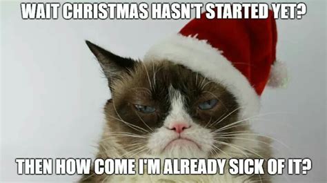 Pin By Mary Ann On Grumpy Cat Grumpy Cat Christmas Funny Cat Memes