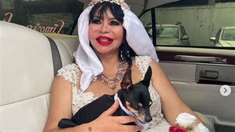 Tras Decepción Por Matrimonios Fallidos Exvedette Se Casó Con Su Perro
