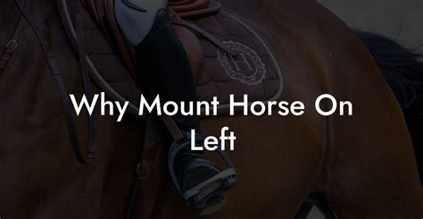 Why Mount Horse On Left How To Own A Horse