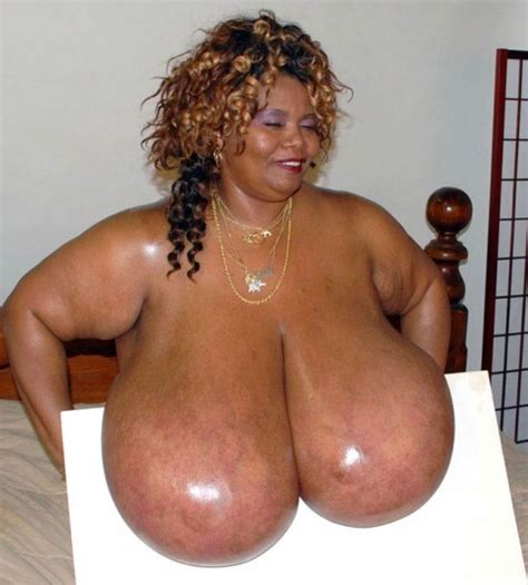 norma stitz boobpedia encyclopedia of big boobs