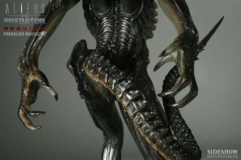 Alien Vs Predator Requiem Predalien 14 Scale Maquette Limited Ed 500