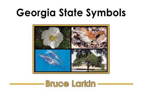 Georgia State Symbols First Grade Book Wilbooks