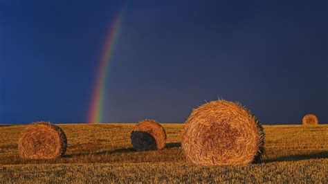 Rainbows Haystacks Field Sunlight Hd Wallpapers Desktop And Mobile