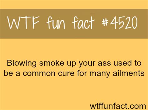 Blowing Smoke Up Your Ass Wtf Fun Facts