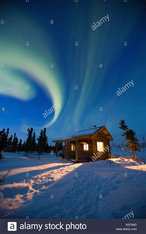 Curtains Of Green And Purple Aurora Borealis Northern