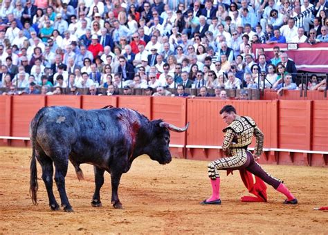 Toros De Miura Sevilla Toros Octavio