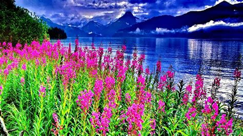 Landscape With Mountain Lake And Flowers Wallpapers Wallpaper Cave