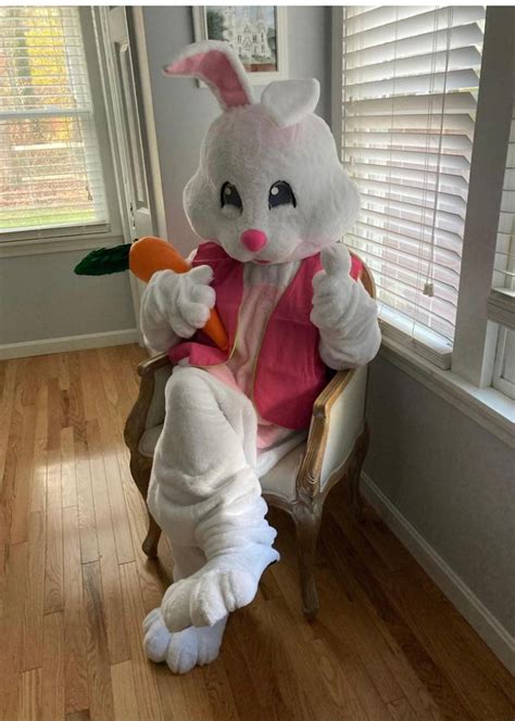 Deluxe Easter Bunny Rabbit Mascot Costume Photos Parades Etsy