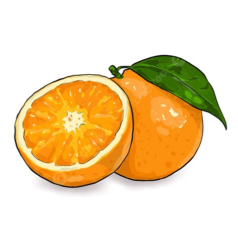 Orange Cartoon Clipart Hd Png Orange Cartoon Design Orange Fruit