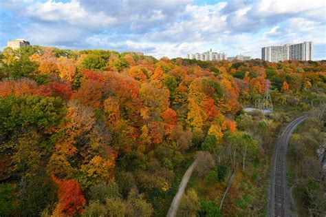 The Top 10 Places To See Fall Foliage In Toronto