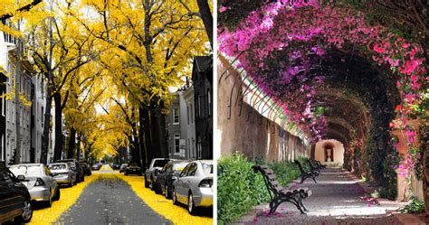 10 Most Beautiful Flowered Streets In The World This Is Italy Page 6
