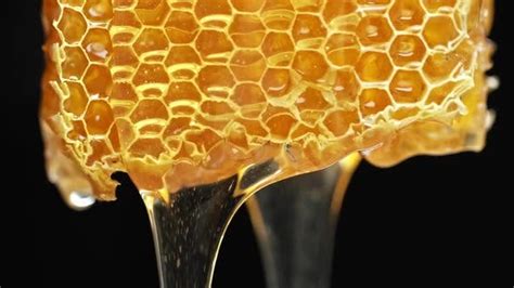 Bee Honeycomb Wax With Honey Honey Dripping From Honey Comb Stock
