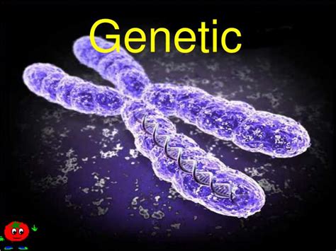 Ppt Genetic Powerpoint Presentation Free Download Id3938597