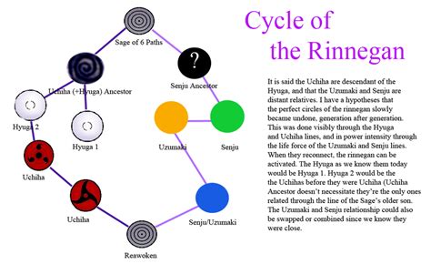 Theory Cycle Of The Rinnegan Illustrated Naruto