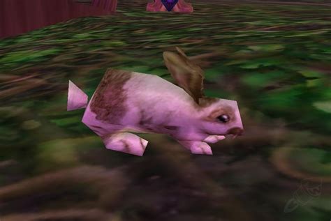 Lapin Du Printemps Sort World Of Warcraft