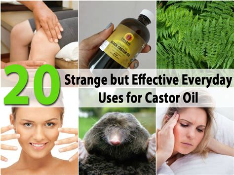 Fleet castor oil and emulsoil. 20 Strange but Effective Everyday Uses for Castor Oil ...