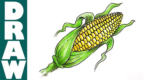 Pin By Saili Shukla On Corn Party Corn Drawing Corn On Cob Pictures