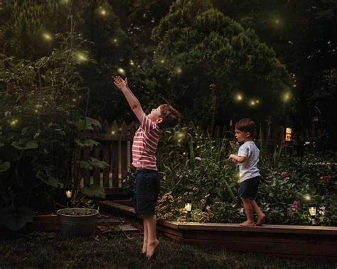 Fun With Fireflies Run Wild My Child