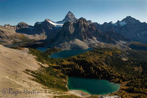 Mount Assiniboine With Magog Sunburst Cerulean And Elizabeth Lakes