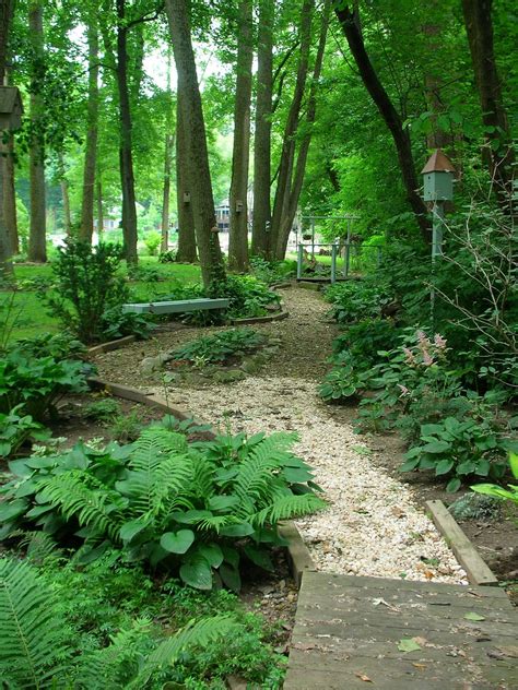 Visita y comparte mi blog. Designing the Woodland Garden