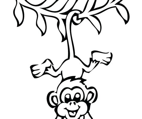 Spider Monkey Drawing Free Download On Clipartmag