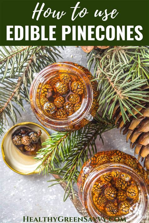 Can You Eat Pine Cones 5 Best Uses For Edible Pine Cones