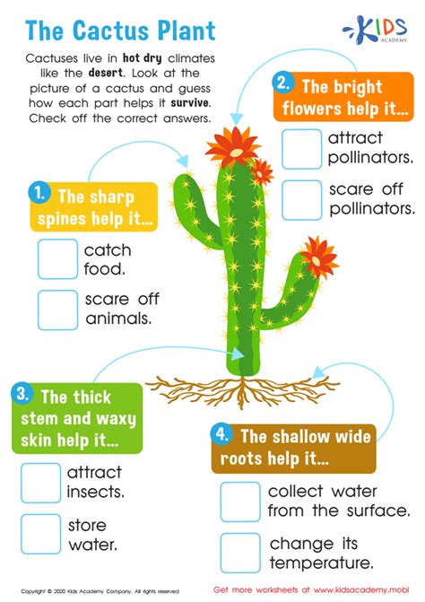 Plants Plant Adaptations For Grade 1