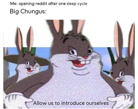 Allow Us To Introduce Ourselves Big Chungus Know Your Meme