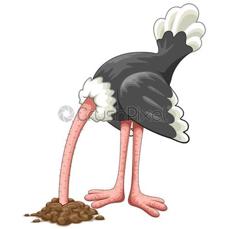 Ostrich Head In Sand Proverb Cartoon Character Vector Illustration
