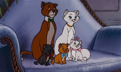 The ranking of most popular cat names can be assessed, in particular, from pet insurance registrations. Everybody Wants To Be a Cat: Disney's The Aristocats | Tor.com