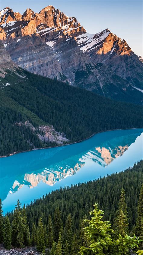 Peyto Lake Canada Wallpaper Backiee