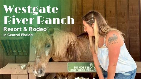Our Weekend Of Glamping At Westgate River Ranch Resort And Rodeo In Central Florida Youtube
