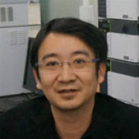 Yong Huang Professor Associate Phd The Hong Kong University Of
