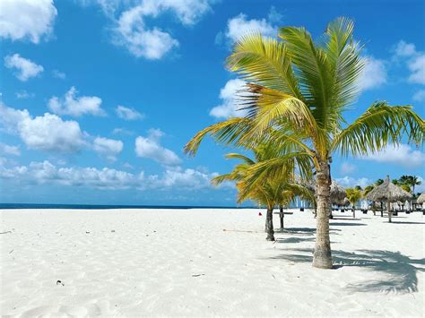 Manchebo Beach Aruba Beaches