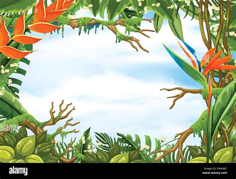 Border Template With Tropical Rainforest Illustration Stock Vector