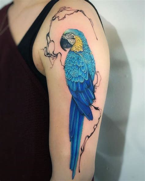 30 Adorable Parrot Tattoo Designs You Will Love Cuded Parrot Tattoo Tattoo Designs Bird