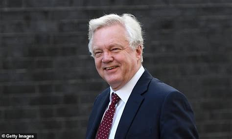 Tory Mp David Davis Accuses Over Controlling Public Health England Of