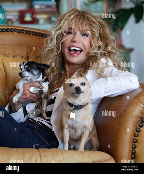 Cary Grant Dyan Cannon Jennifer Grant Hi Res Stock Photography And
