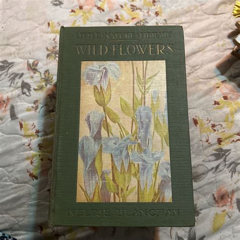 Little Nature Library Wild Flowers Worth Knowing
