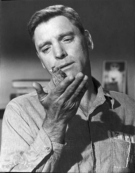 Movie Review Birdman Of Alcatraz 1962 The Ace Black Blog