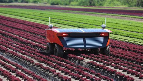 These Robots Can Redefine The Future Of Farming Say Sydney Researchers