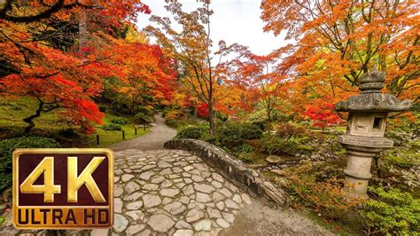 Japanese Garden 4k Resolution 1 Hour Nature Sound For