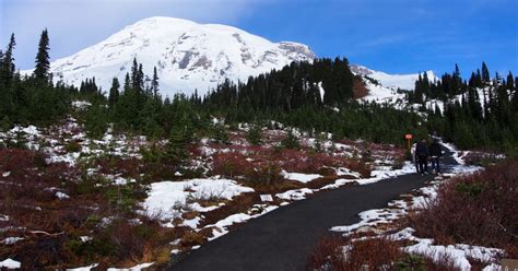 From Seattle Mount Rainier Full Day Tour Getyourguide