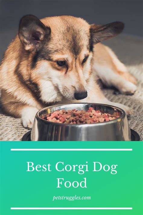 Best for seniors—victor senior healthy weight dry dog food. Top 12 Best Corgi Dog Foods | Dog food recipes, Corgi dog ...