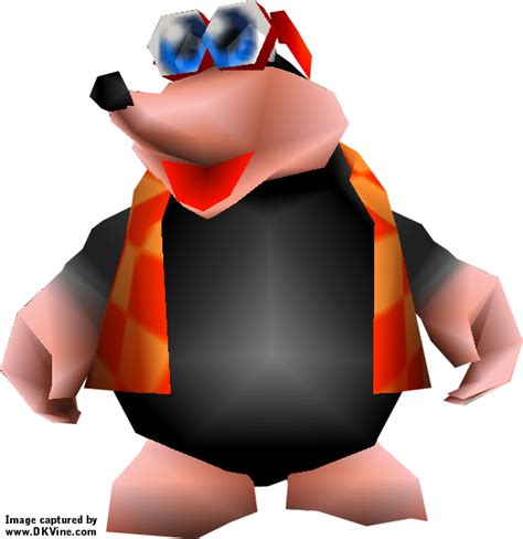 Banjo Kazooie Png Isolated Image Png Mart