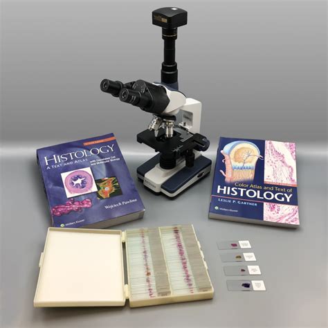 Prepared Human Histology Slide Set Amscope Trinocular Microscope With