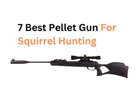 7 Best Pellet Gun For Squirrel Hunting 2024 Top Picks